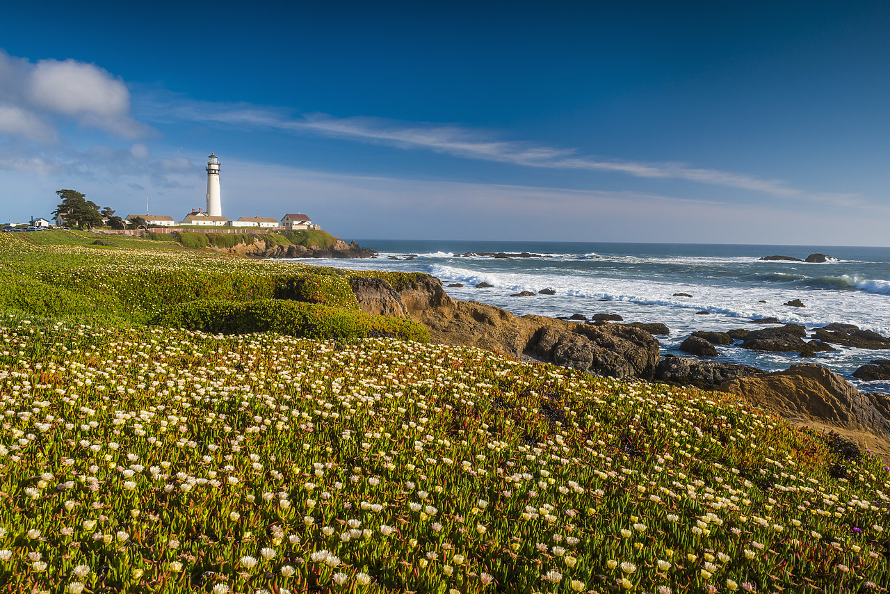 #140156-1 - Pigeon Point Lighthouse, near Pescadero, California, USA