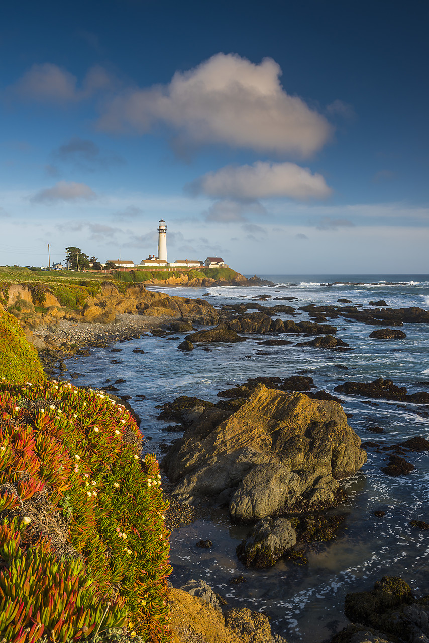 #140158-1 - Pigeon Point Lighthouse, near Pescadero, California, USA