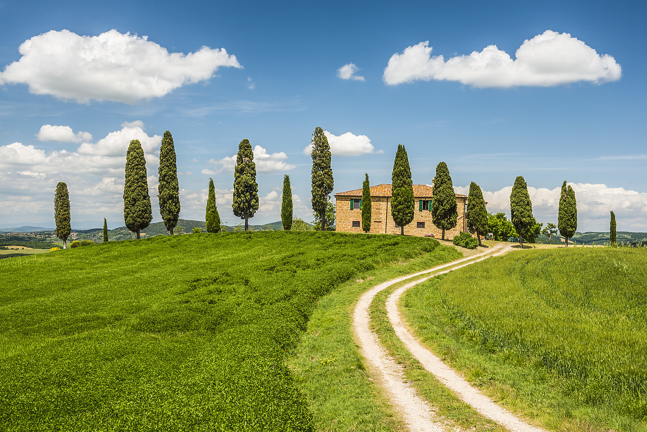 #140162-1 - Track Leading to Il Cipressini Villa, Tuscany, Italy