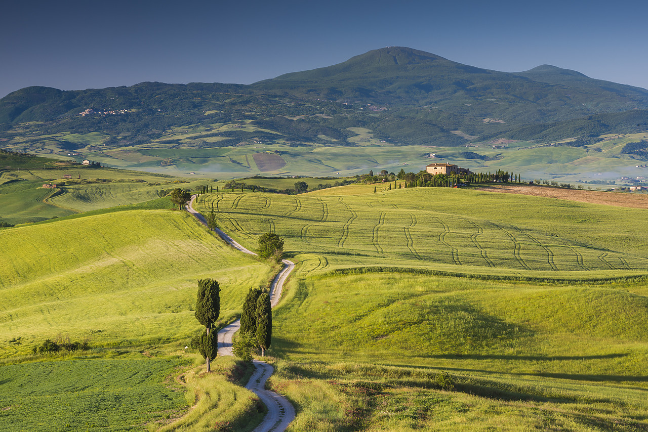 #140169-1 - Road leading to Terrapille, Val d'Orcia, Tuscany, Italy