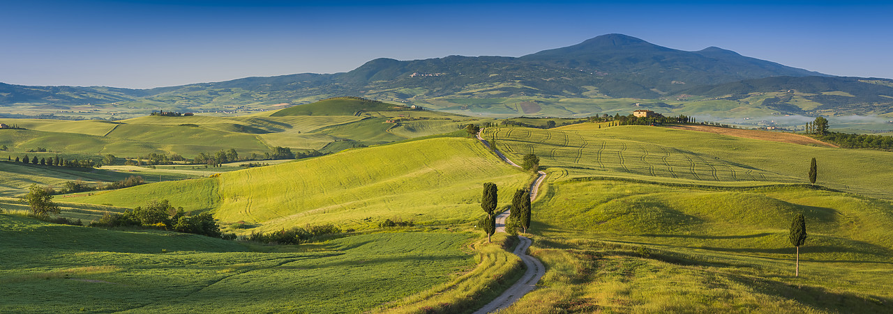 #140170-1 - Road leading to Terrapille, Val d'Orcia, Tuscany, Italy