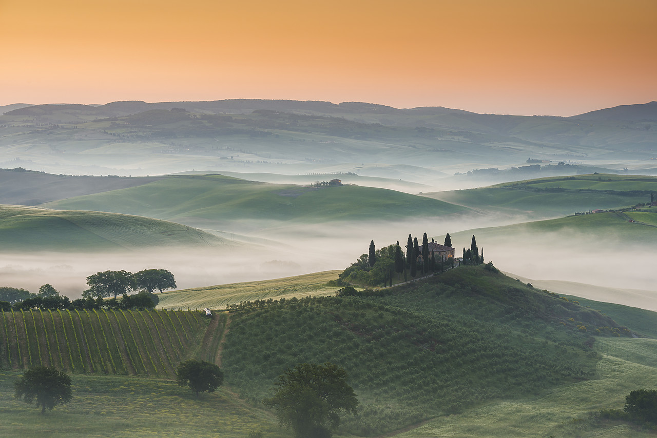 #140171-2 - Misty Landscape Behind Belvedere, Val d'Orcia, Tuscany, Italy