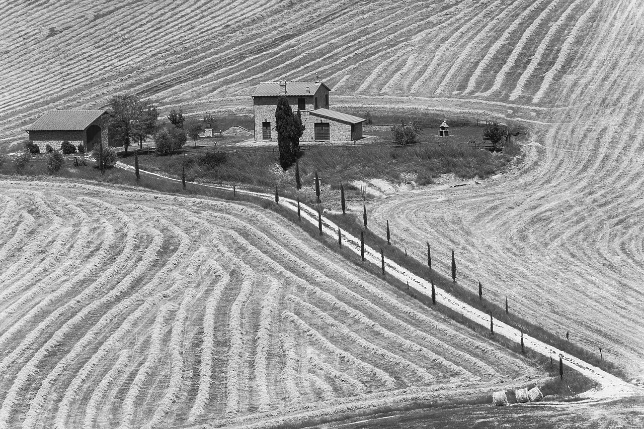 #140176-1 - Road leading to Villa Surrounded by Fields, Tuscany, Italy