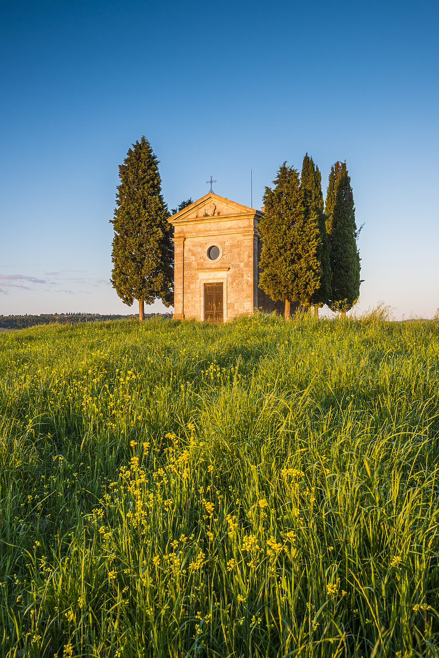 #140183-1 - Chapel Madonna di Vitaleta, Val d'Orcia, Tuscany, Italy