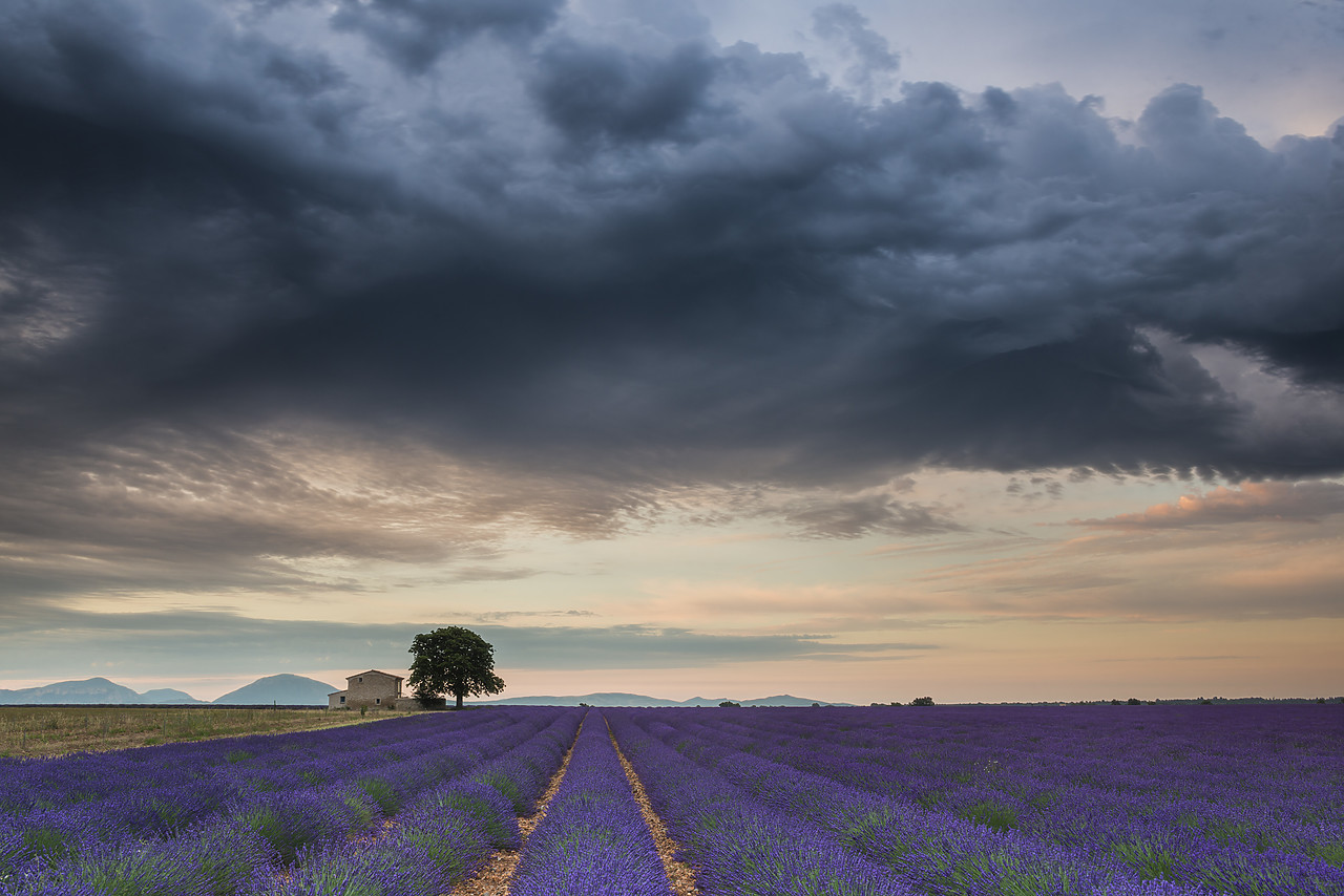 #140242-1 - Storm Clouds Over Farmhouse & Lavender Fields, Provence, France