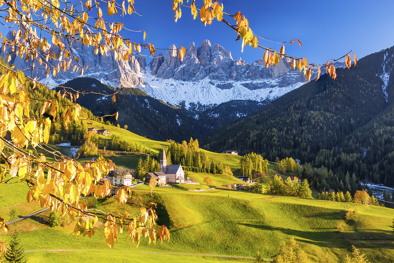 #140364-1 - St. Magdalena in Autumn, Val di Funes, Dolomites, South Tyrol, Italy