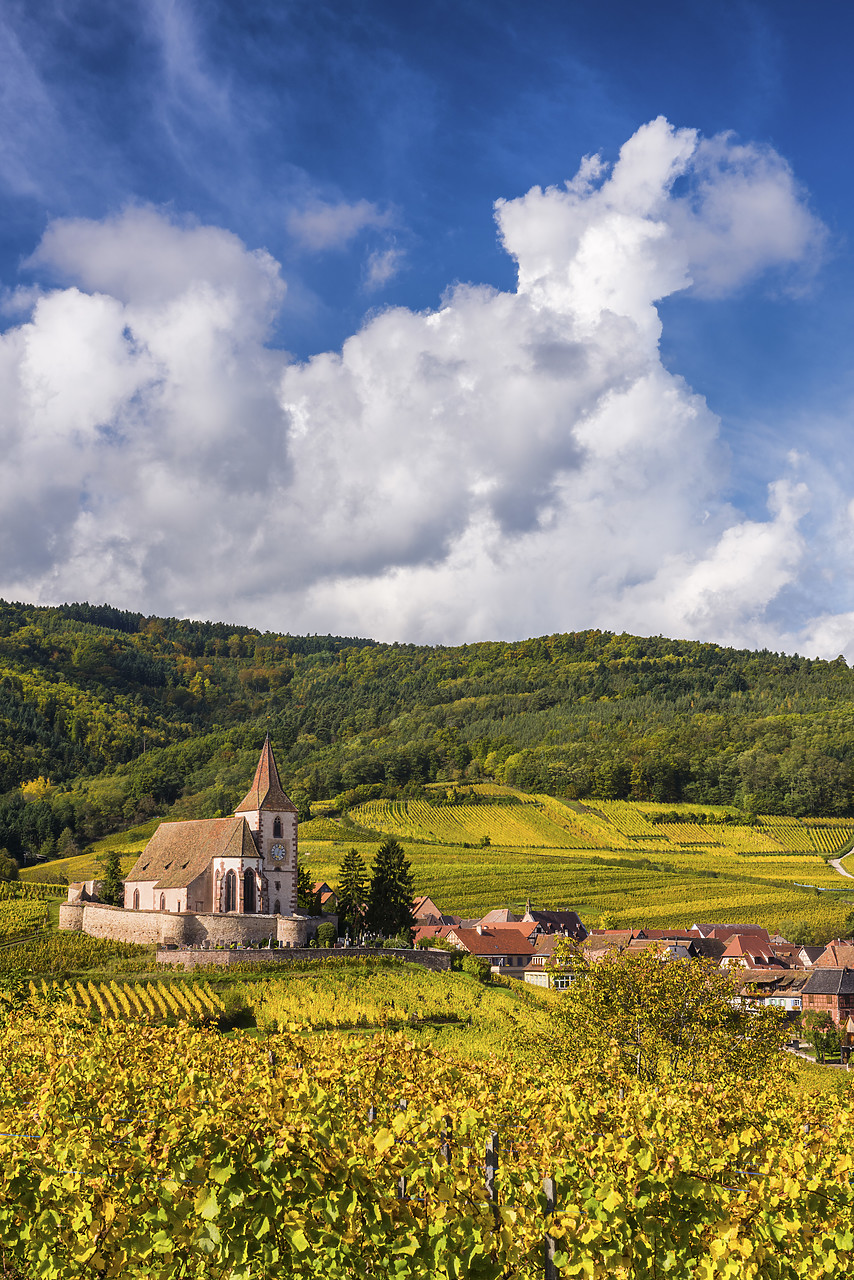 #140408-2 - View over Village of Hunawihr, Alsace, France