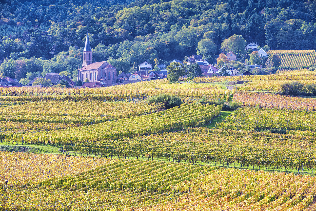 #140409-1 - Vineyards at Husseren-les-ChÃ¢teaux, Alsace, France