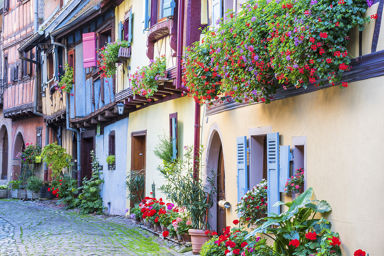 #140411-1 - Eguisheim, Alsace, France