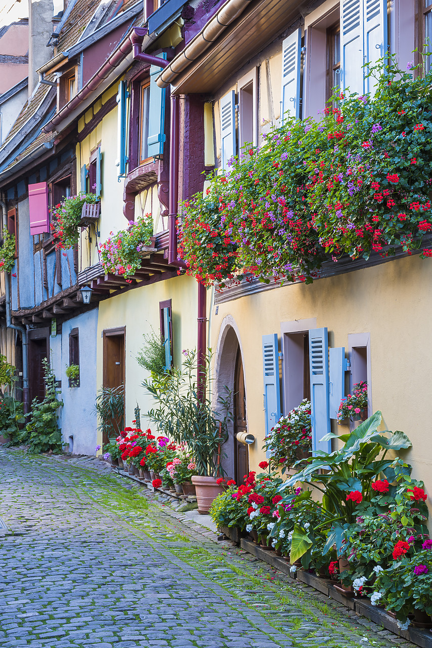 #140411-2 - Eguisheim, Alsace, France