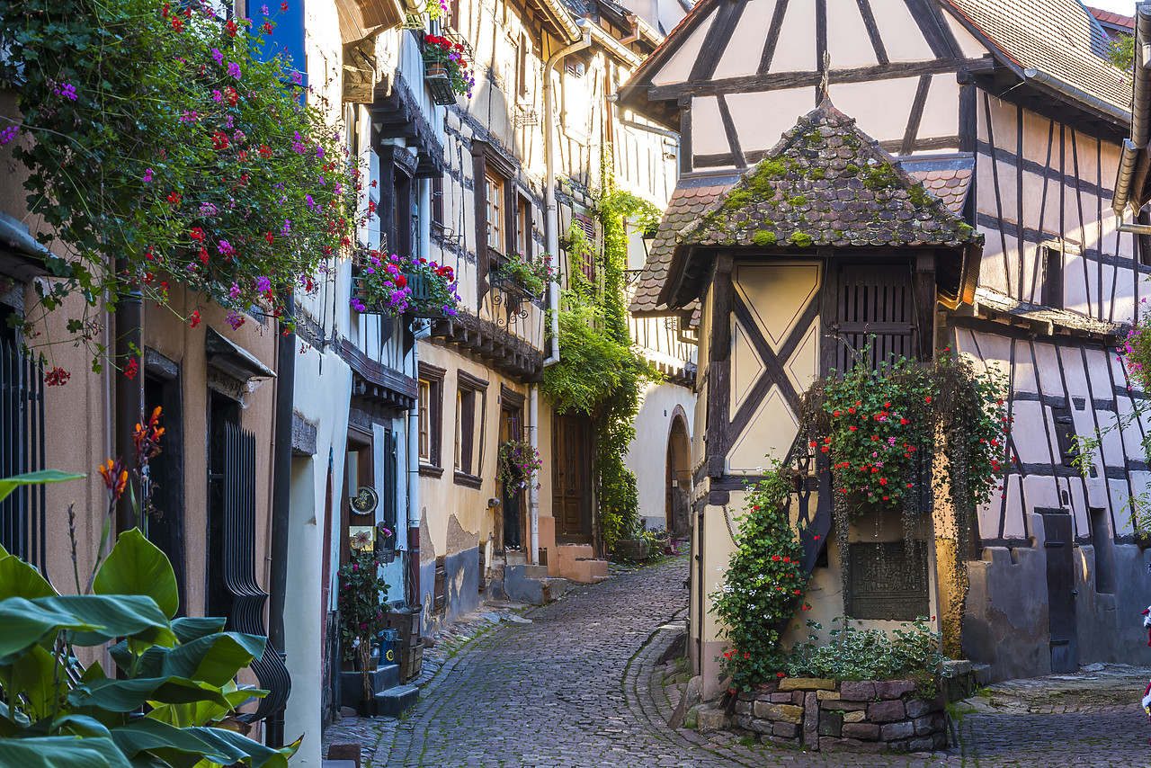 #140412-1 - Eguisheim, Alsace, France