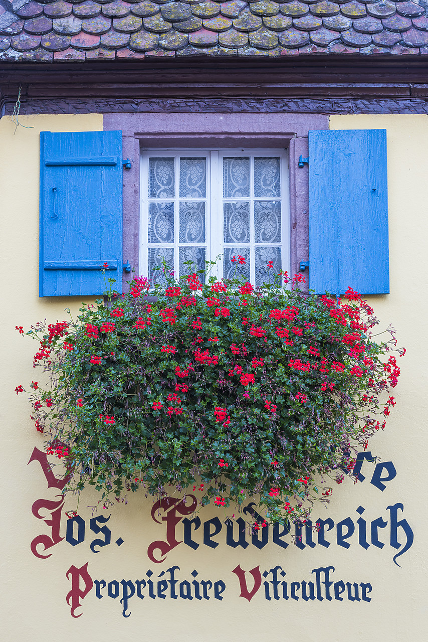 #140414-1 - Window & Geraniums, Eguisheim, Alsace, France