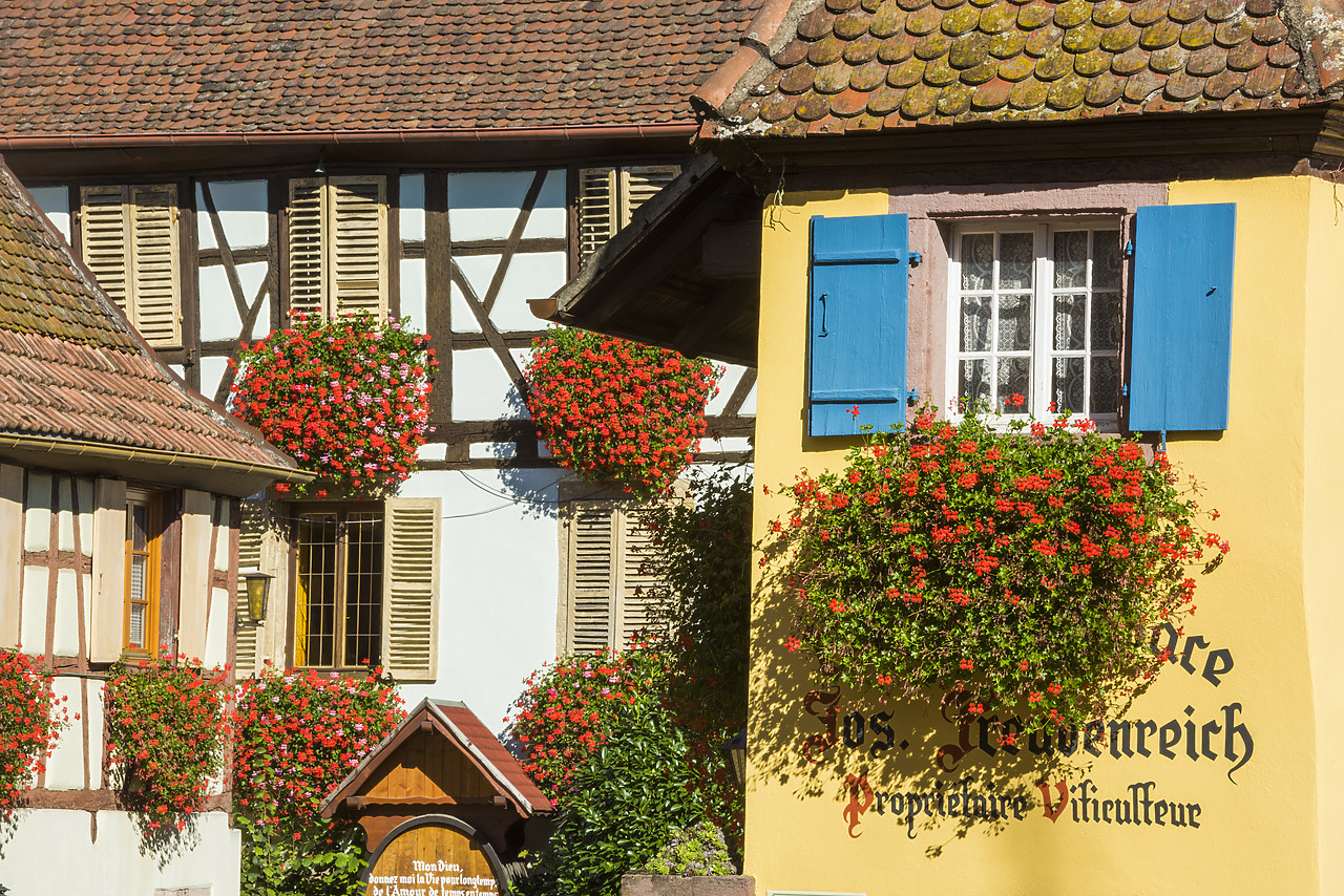 #140416-1 - Winery, Eguisheim, Alsace, France