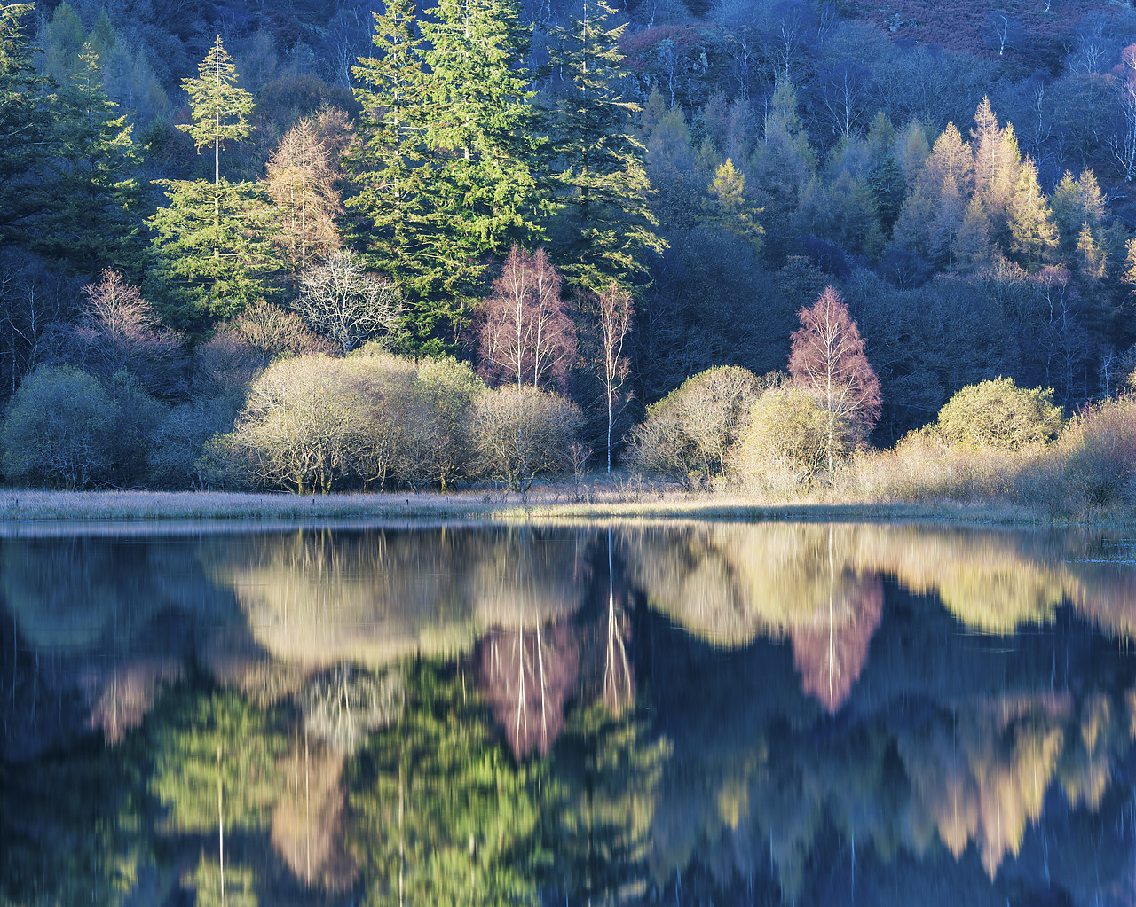 #140464-1 - Yew Tree Tarn Reflections, Lake District National Park, Cumbria, England