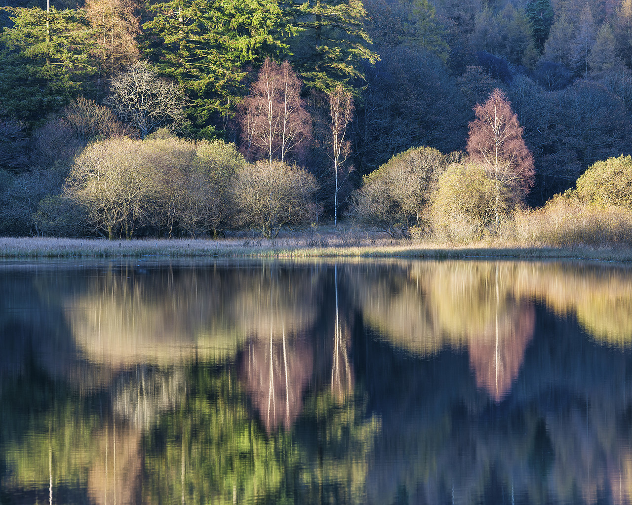 #140464-2 - Yew Tree Tarn Reflections, Lake District National Park, Cumbria, England