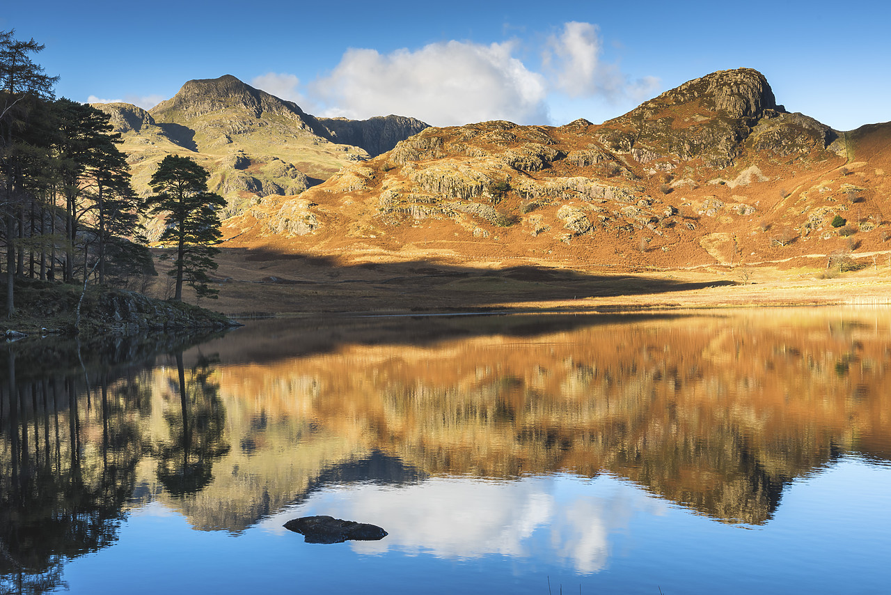 #140465-1 - Langdale Pikes Reflecting in Blea Tarn, Lake District National Park, Cumbria, England