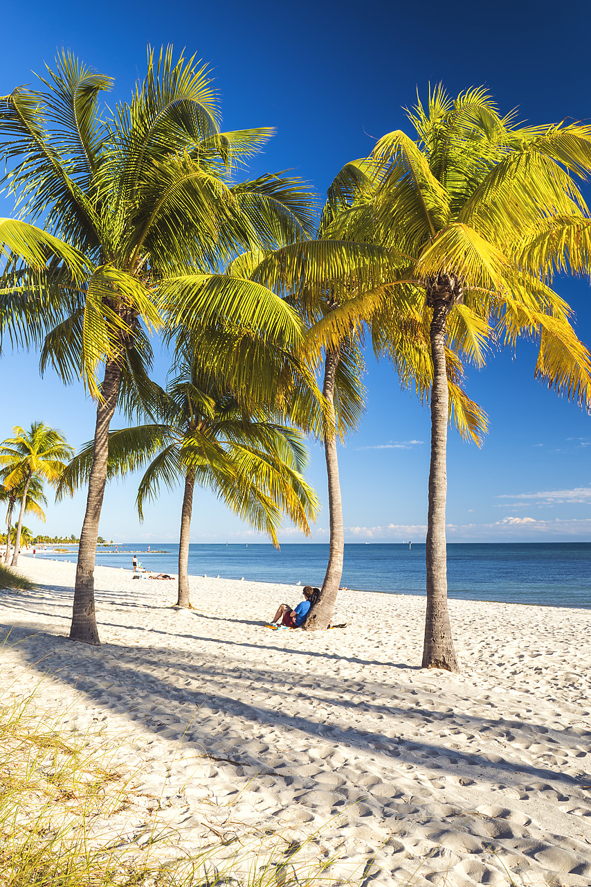 #140470-1 - Couple Relaxing under Palm Tree, Key West, Florida, USA