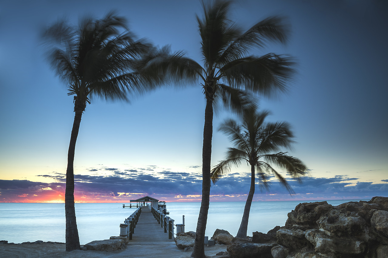 #140479-1 - Palm Trees & Pier at Dawn, Islamorada, Florida Keys, USA