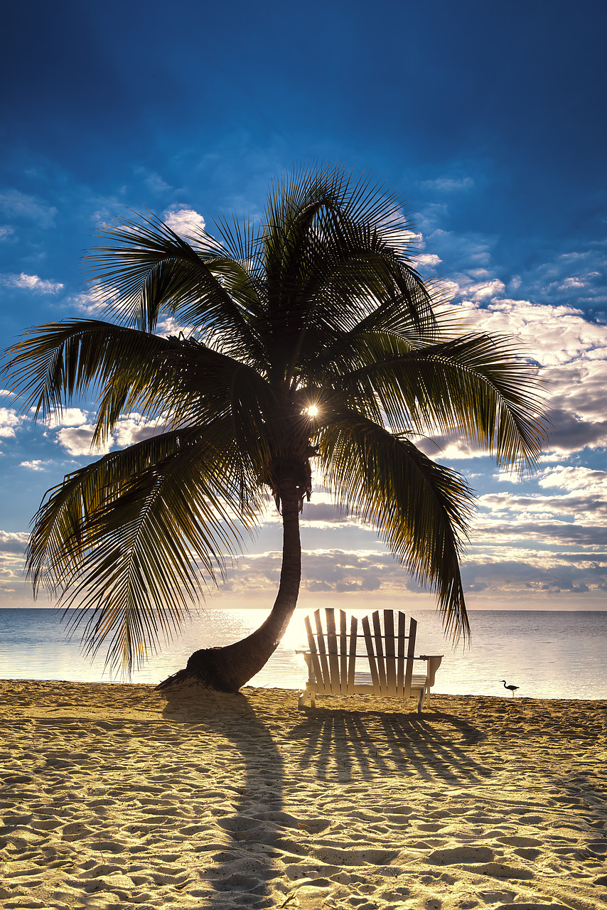 #140488-1 - Palm Tree & Love Seat,   Islamorada, Florida Keys, USA