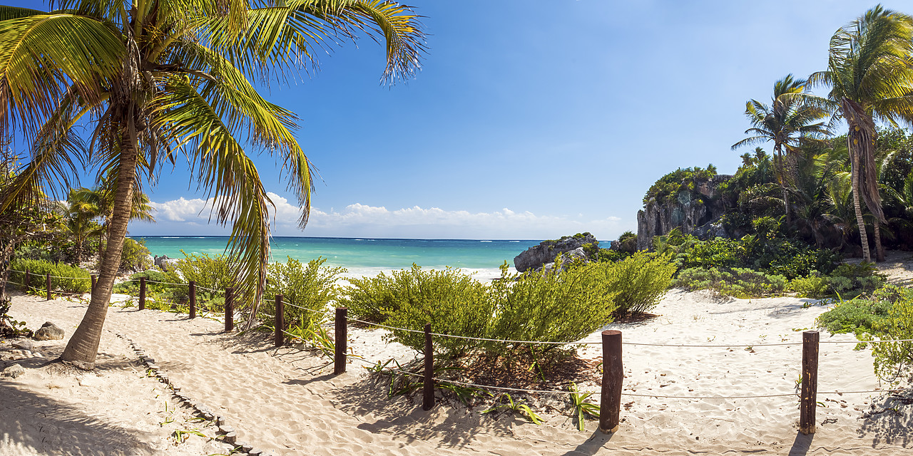 #150021-3 - Palm Tree & Beach Footpath, Tulum, Yucatan, Mexico