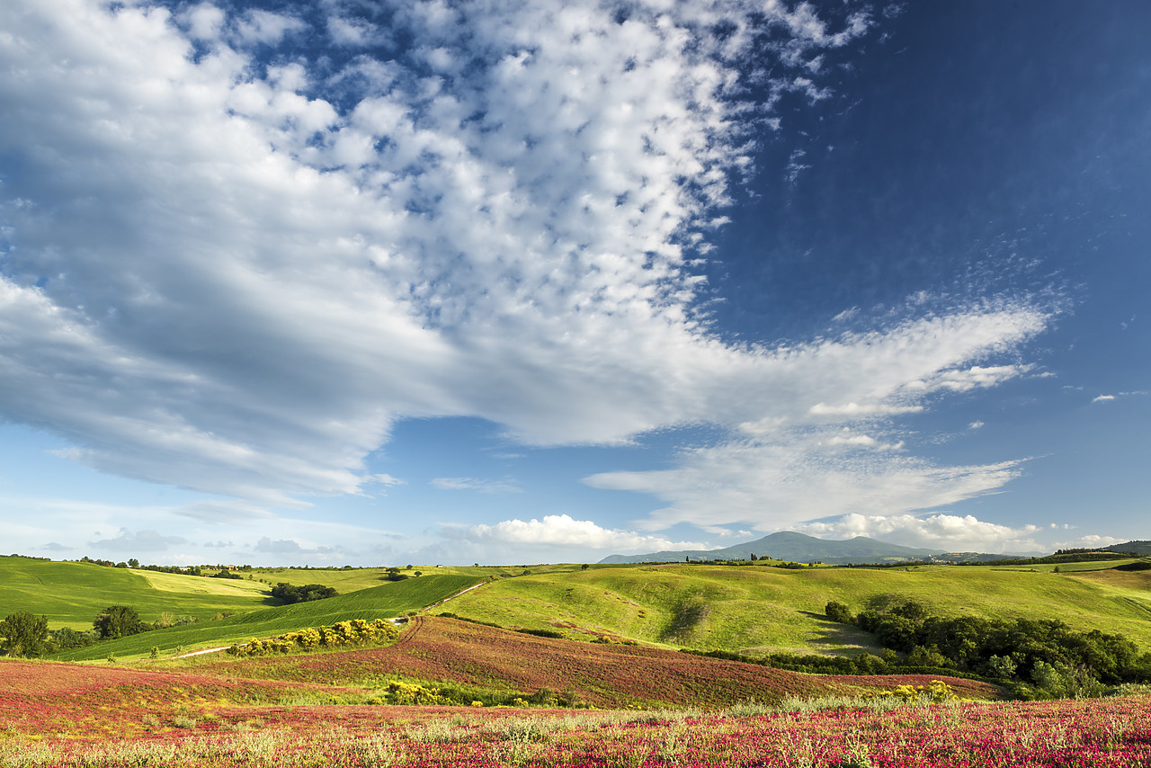#150273-1 - Cloudscape over Field of Clover, Tuscany, Italy