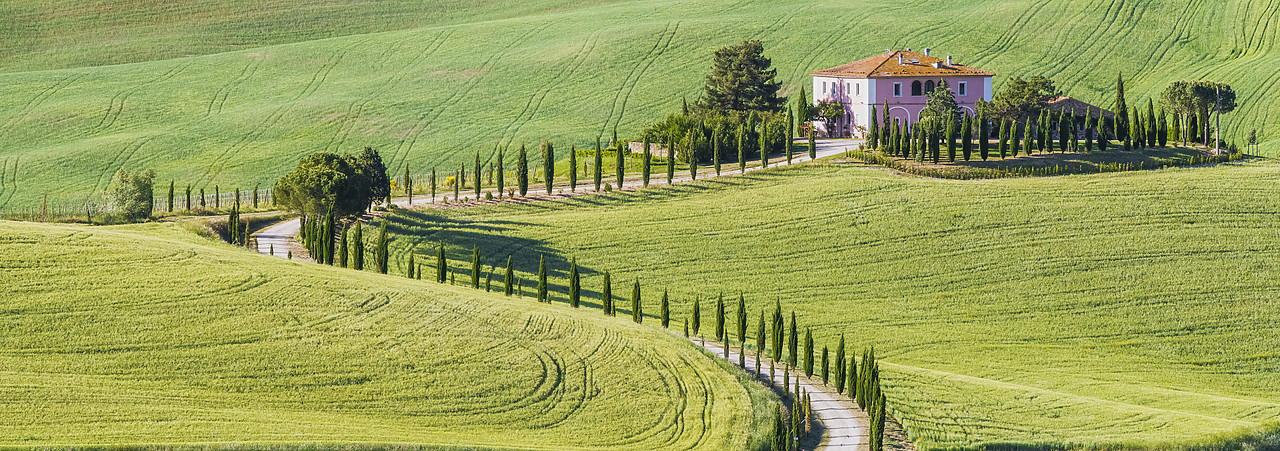 #150286-1 - Winding Cypress Tree-lined Road & Villa, Montalcino, Tuscany, Italy