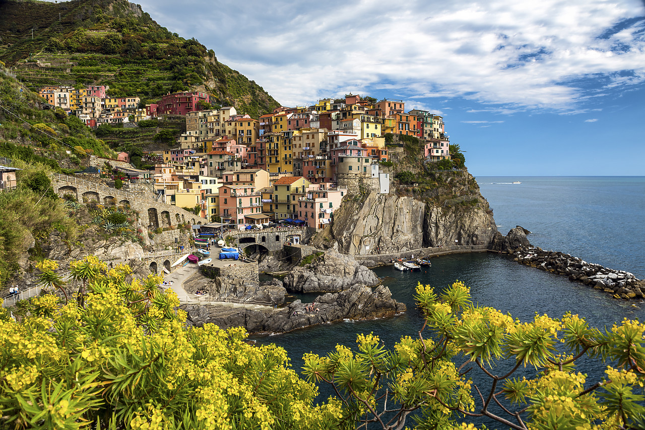 #150294-1 - Manarola, Cinque Terre, Liguria, Italy