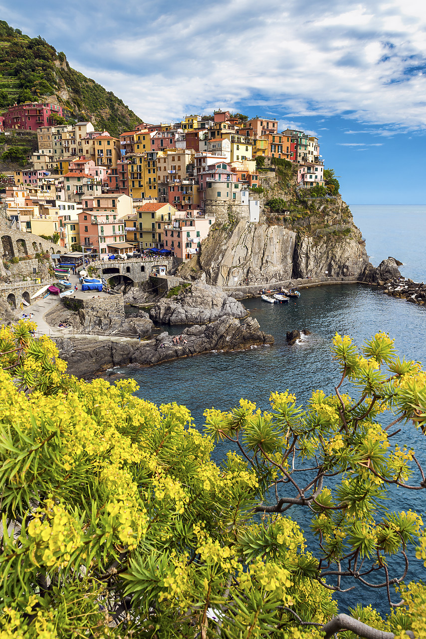#150294-2 - Manarola, Cinque Terre, Liguria, Italy