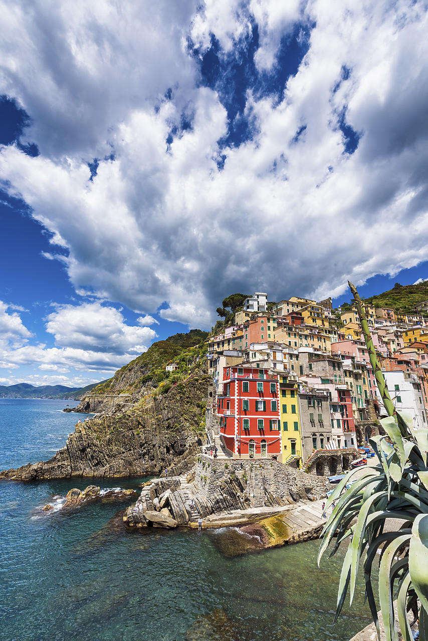 #150299-2 - Riomaggiore, Cinque Terre, Liguria, Italy