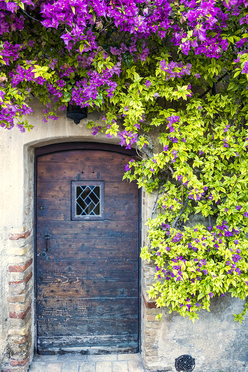 #150302-1 - Bougainvillea over Old Door, St. Paul de Vence, Cote d' Azur, France