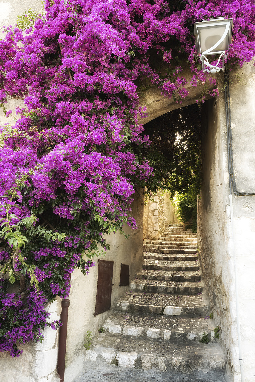 #150304-1 - Bougainvillea over Staircase, St. Paul de Vence, Cote d' Azur, France