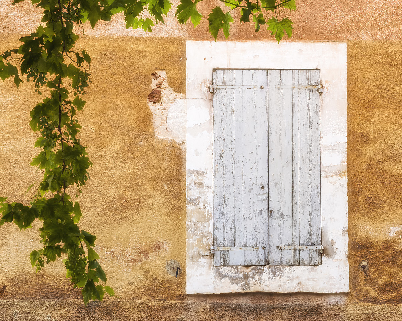 #150335-1 - Grey Window Shutters, Provence, France
