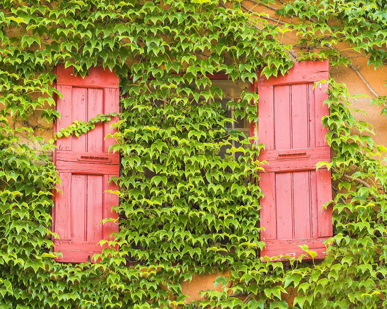 #150337-1 - Red Window Shutters, Provence, France