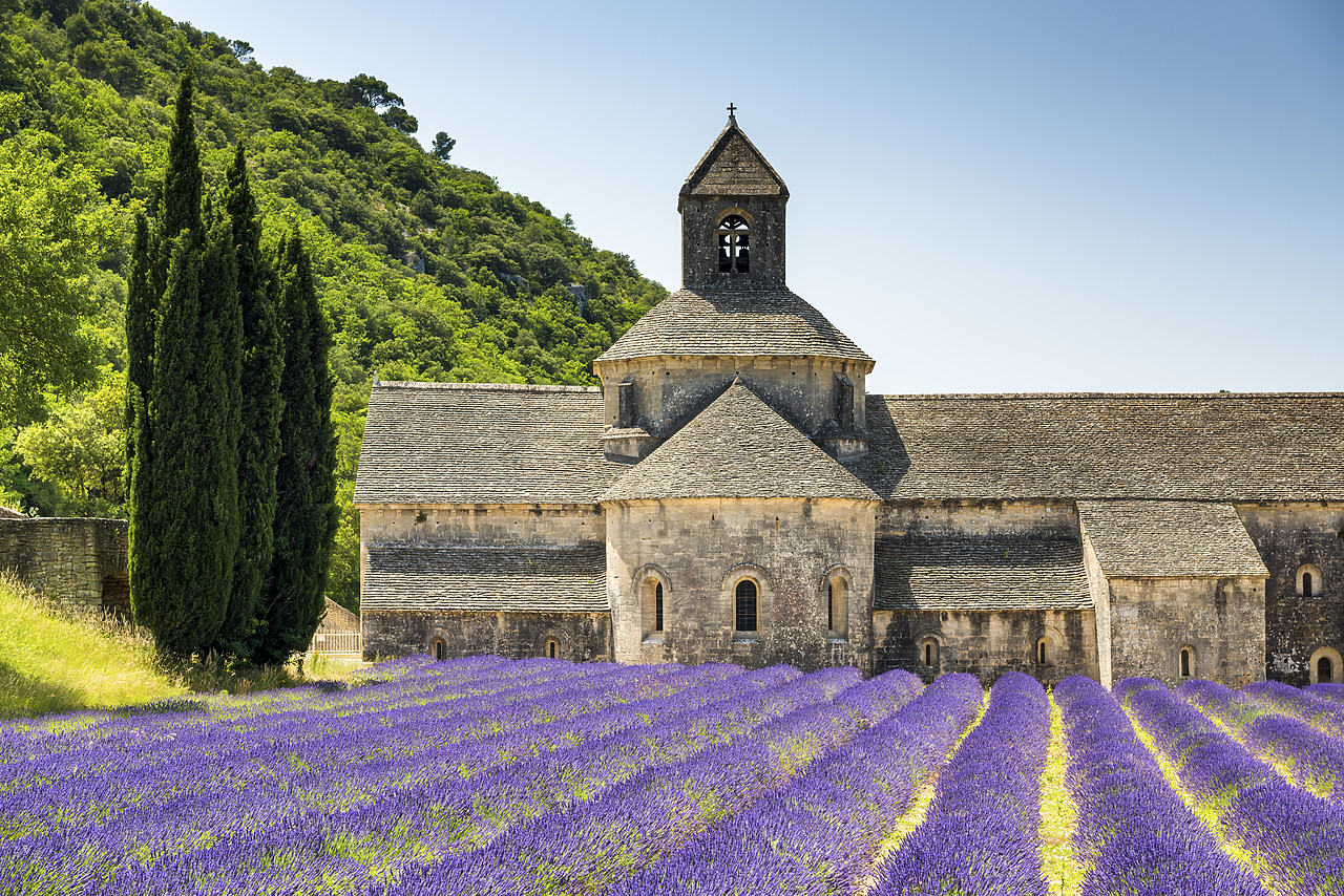 #150341-1 - Abbaye de Senanque, Provence, France