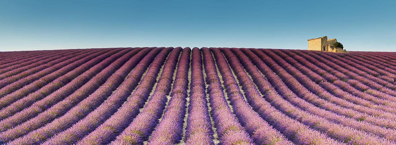 #150385-1 - Stone Barn in Field of Lavender, Provence, France