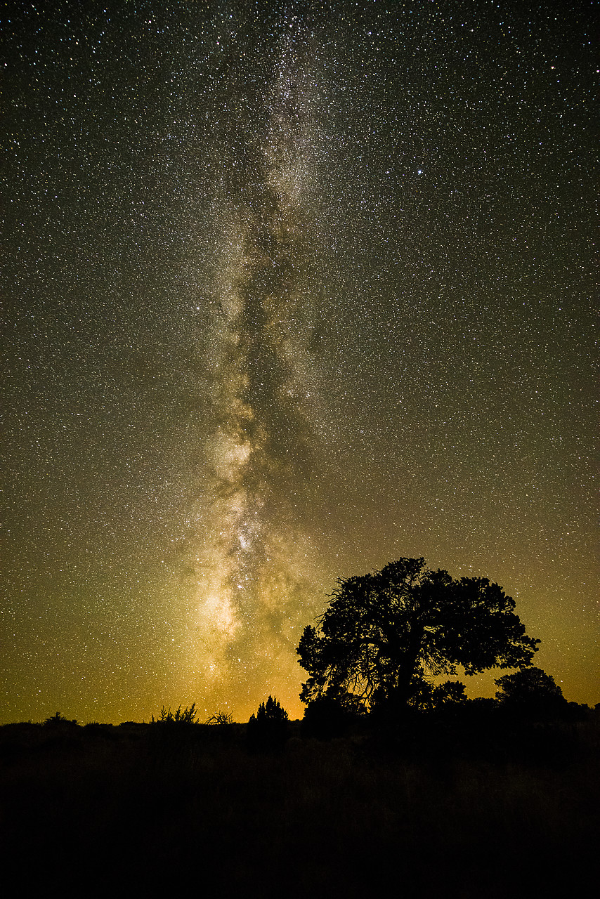 #150426-1 - Milky Way over Juniper Tree, Monument Valley Tribal Park, Arizona, USA