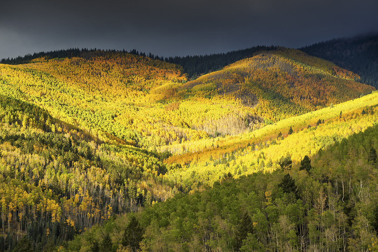 #150483-1 - Santa Fe National Forest in Autumn, Santa Fe, New Mexico, USA