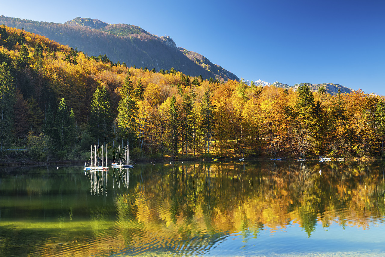 #150508-1 - Lake Bohinj in Autumn, Slovenia, Europe
