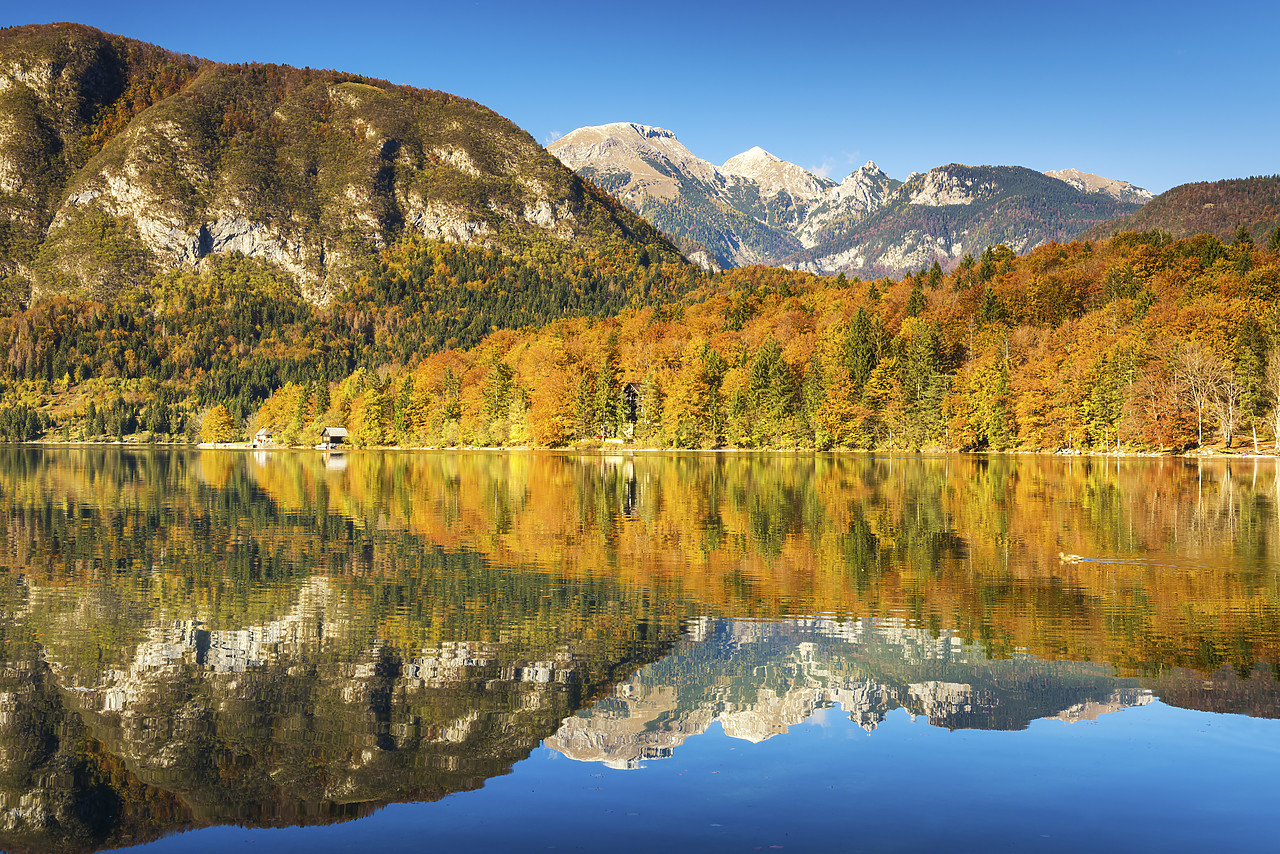 #150511-1 - Lake Bohinj in Autumn, Slovenia, Europe