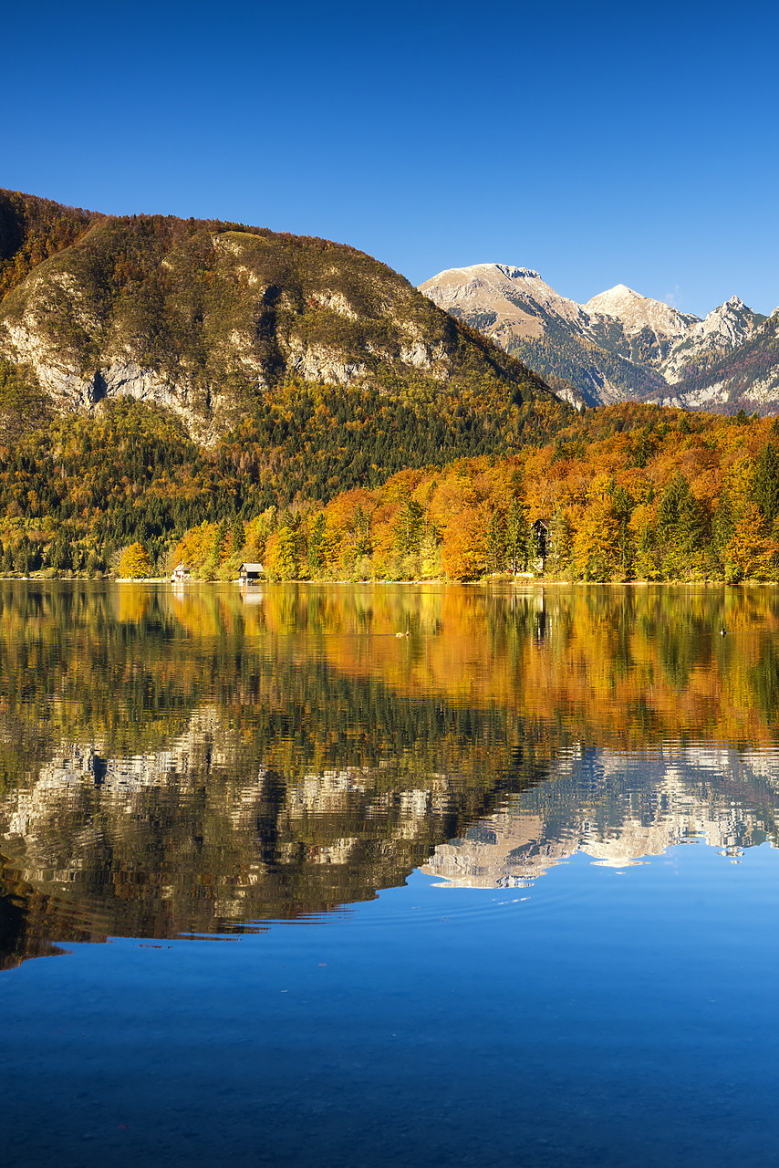 #150511-2 - Lake Bohinj in Autumn, Slovenia, Europe