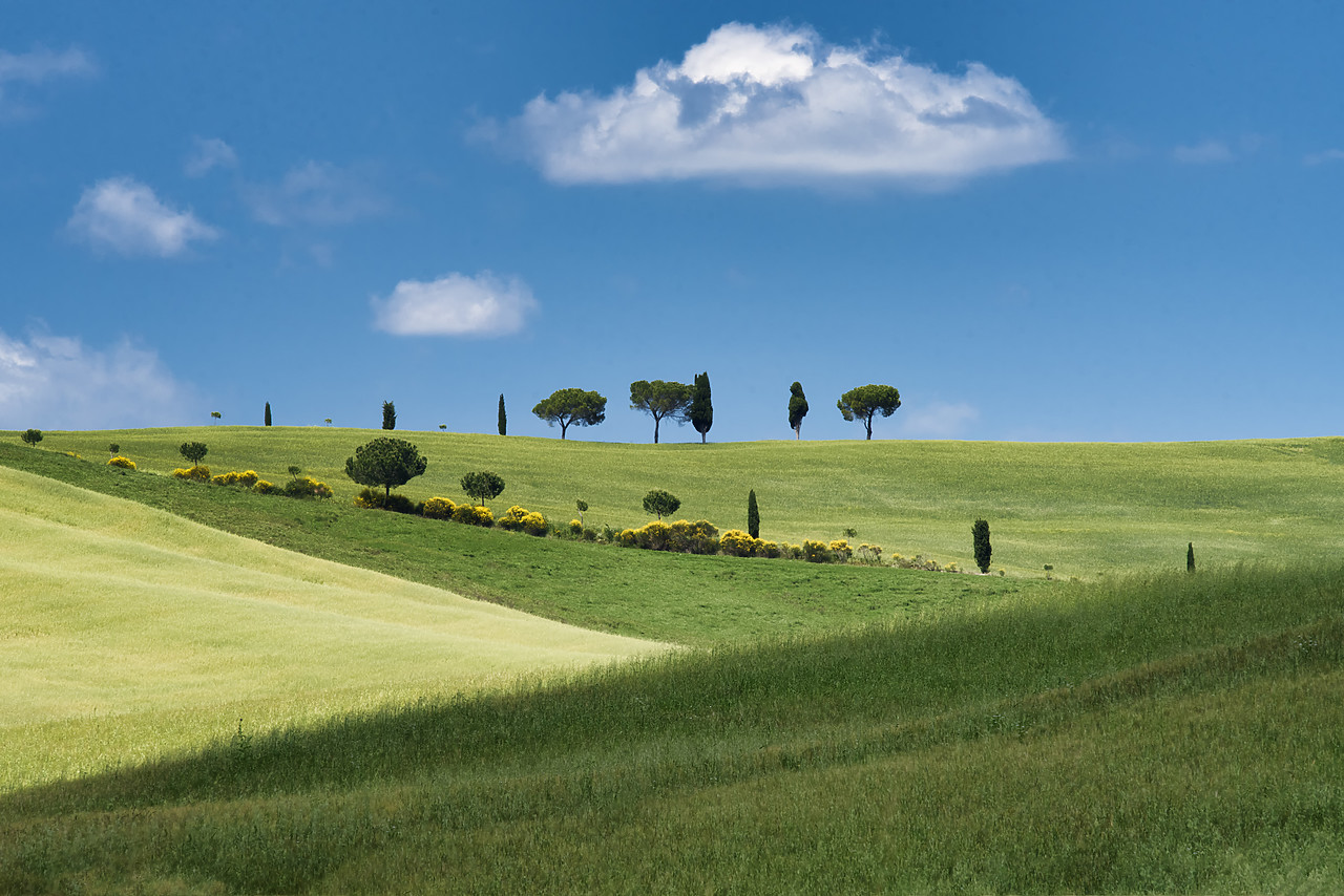 #160018-2 - Tuscan Countyside, Tuscany, Italy