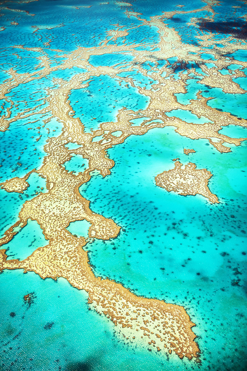 #160125-1 - Great Barrier Reef, Queensland, Australia