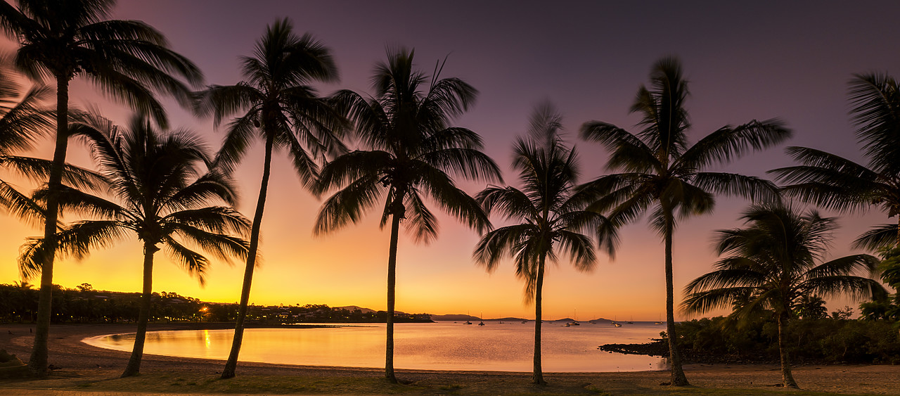 #160139-1 - Palm Trees at Sunset, Airlie Beach, Queensland, Australia