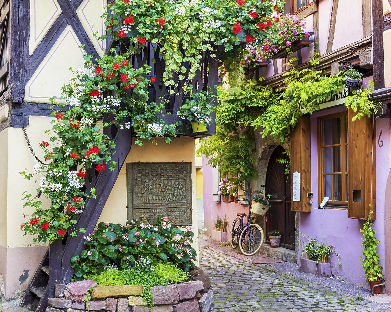 #160294-1 - Eguisheim, Alsace, France