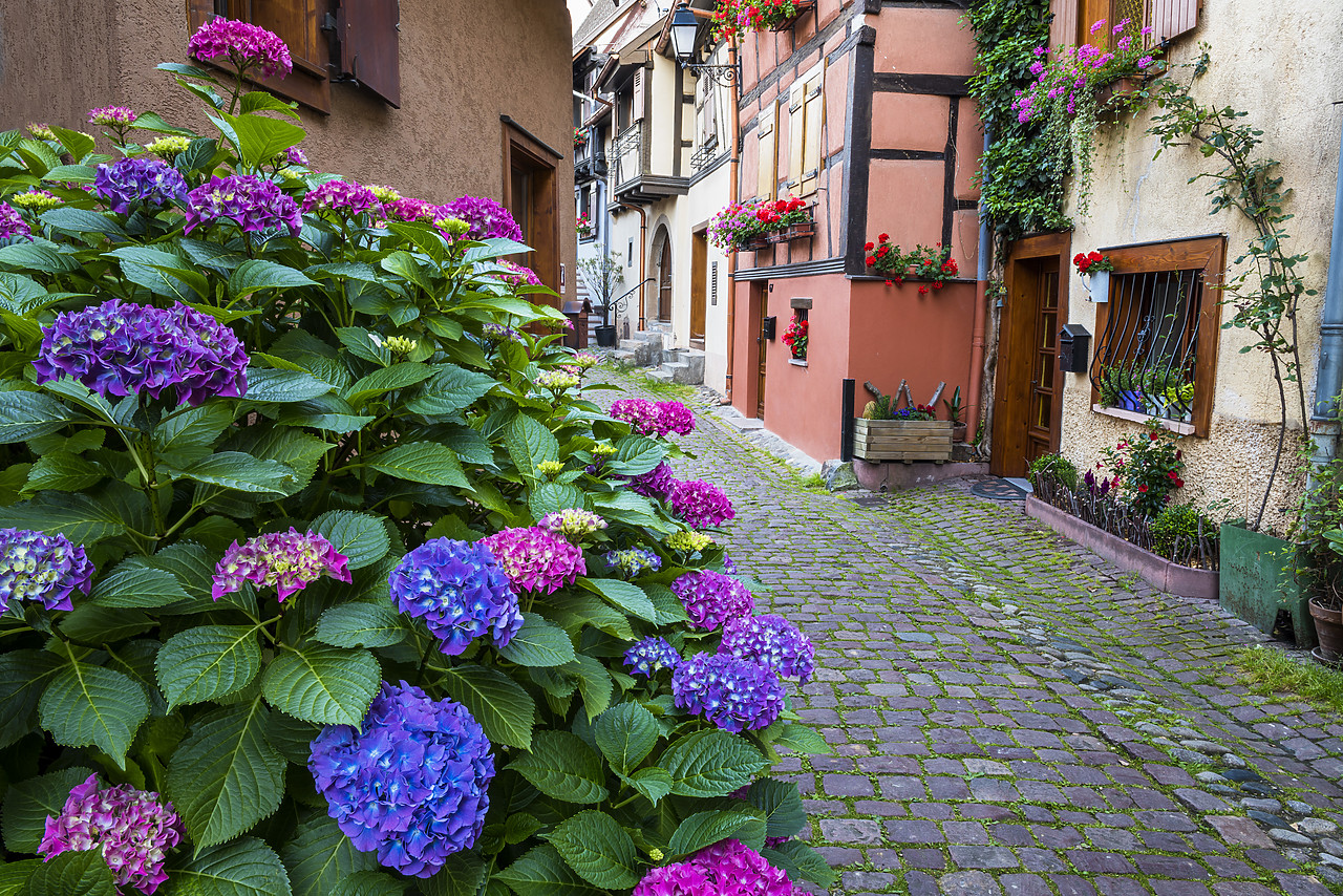#160295-1 - Eguisheim, Alsace, France