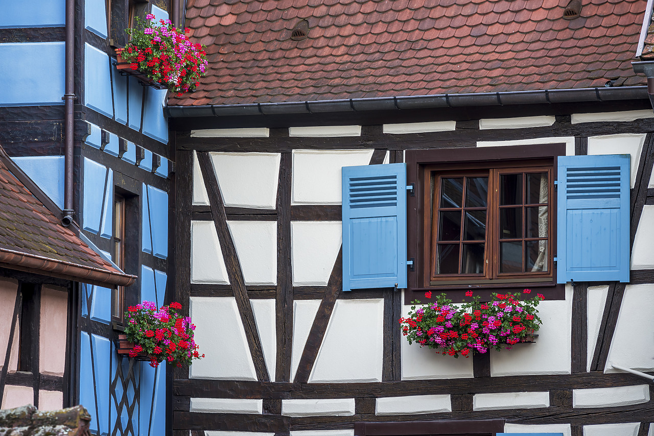 #160296-1 - Half-timbered Buildings, Eguisheim, Alsace, France