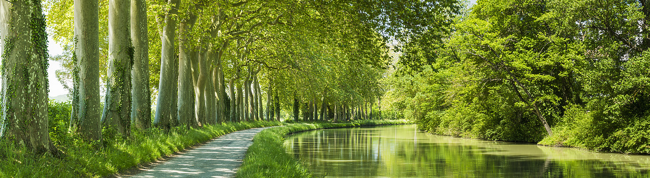 #160318-1 - Canal du Midi, near Castelnaudary, Languedoc, France
