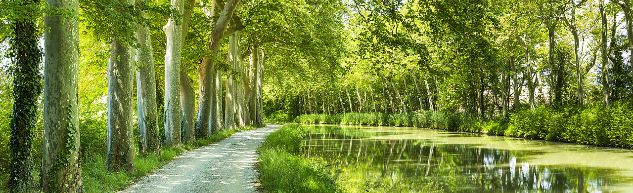 #160319-1 - Canal du Midi, near Castelnaudary, Languedoc, France