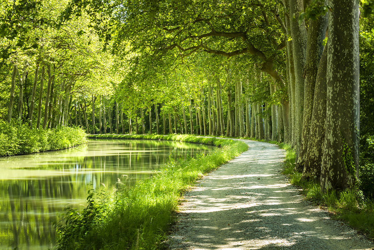 #160320-1 - Canal du Midi, near Castelnaudary, Languedoc, France