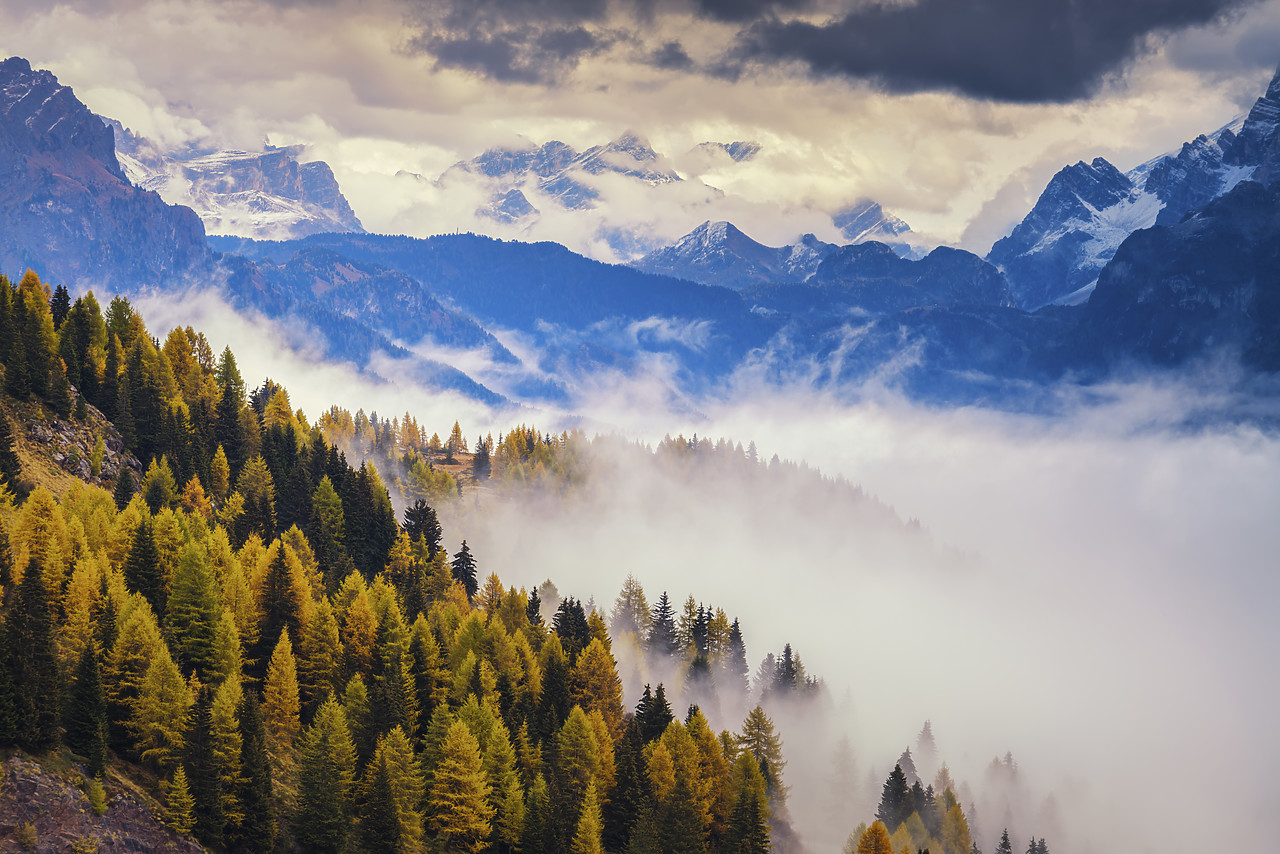 #160394-1 - Low Mist Through Autumn Trees, Dolomites, Veneto, Italy